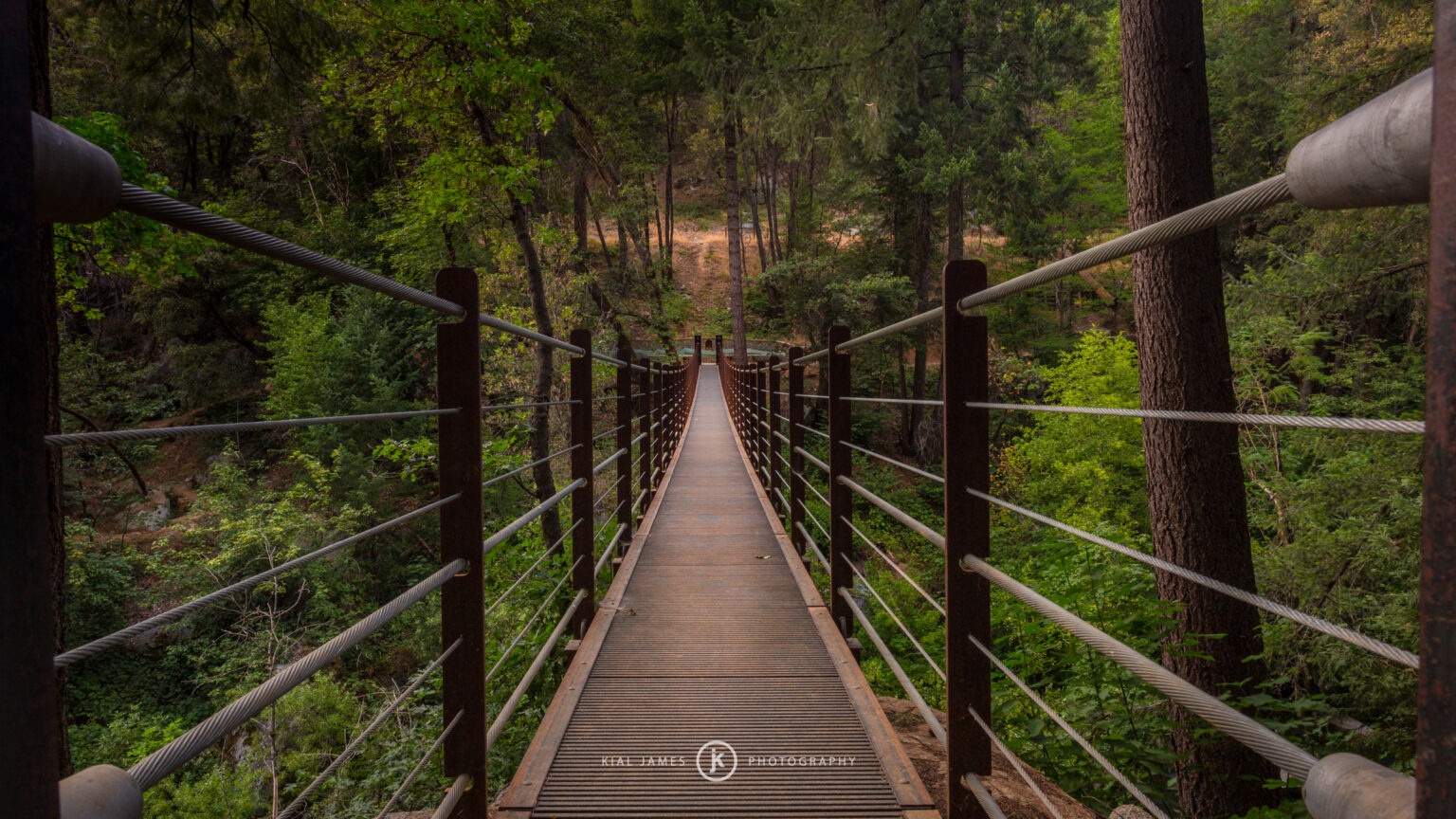 Suspension footbridge over Deer Creek on the Tribute Trail